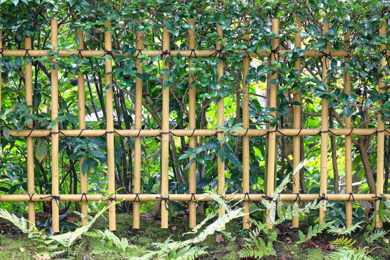 Japanese Traditional Style Bamboo Fence Panel Stock Image - Image Of ... in Struggling With 6'x3' Japanese Bamboo Fence? Here's What's Actually Wrong